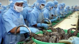 Doanh nghiệp tìm cách tăng xuất khẩu tôm