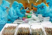 Phấn đấu đến 2025 xuất khẩu tôm đạt 10 tỷ USD