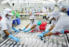 Xuất khẩu tôm những tháng cuối năm dự kiến tăng nhẹ