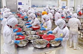 Tiền Giang: Xuất khẩu thủy sản đang ấm dần