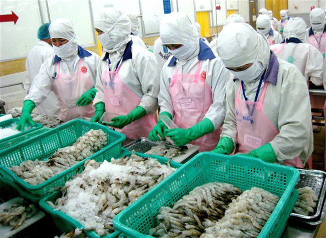 Xuất khẩu tôm vẫn tăng mạnh trong tháng 7