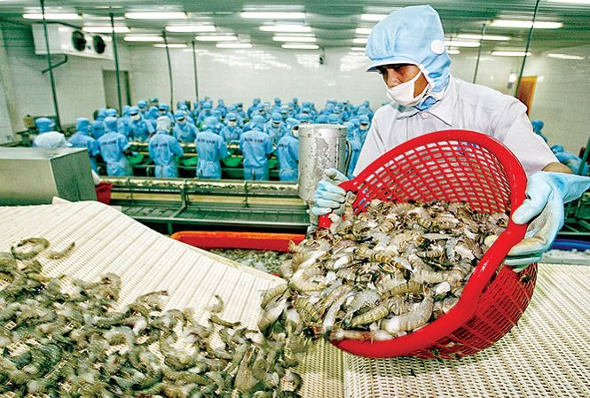 Giá tôm XK tăng: Doanh nghiệp kỳ vọng thị trường cuối năm