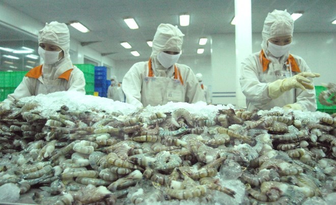 Xuất khẩu tôm có thể lập kỷ lục mới
