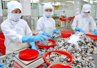 Vẫn còn cơ hội thay đổi thuế tôm xuất khẩu vào Mỹ