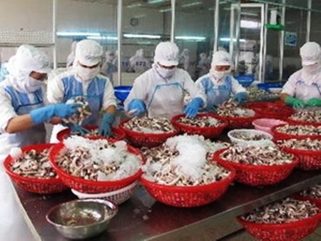 Triển vọng xuất khẩu thủy sản sang châu Phi