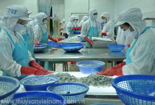 Ngành tôm gặp khó với đợt kiểm tra phá giá thứ 9 của Mỹ