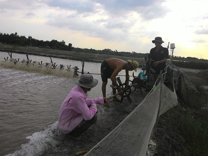 Bùng phát nuôi tôm ngoài quy hoạch