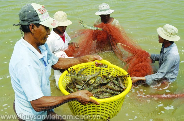 Cuộc chuyển dịch âm thầm