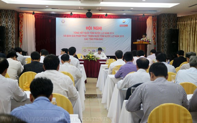 Nuôi tôm nước lợ góp phần thắng lợi cho ngành tôm của cả nước