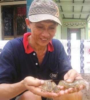 Giải pháp nâng cao hiệu quả tôm nuôi công nghiệp