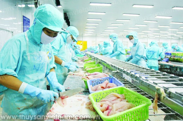 Xuất khẩu thủy sản: Thoát hiểm nhờ “cửa ngách”