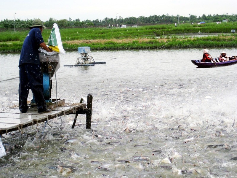 Hộ nuôi trồng thủy sản được vay tín chấp tối đa 2 tỉ đồng