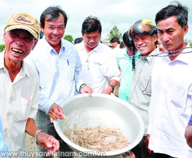 Cà Mau: Thành công mô hình trình diễn nuôi tôm công nghiệp