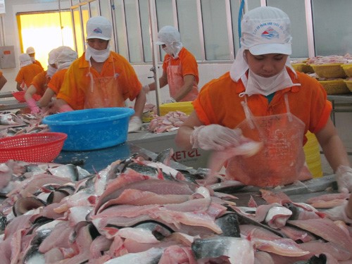 Braxin tăng cường nhập khẩu cá tra Việt Nam