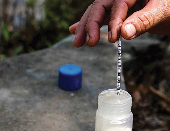 Cà Mau: Nuôi tôm gặp khó vì độ mặn tăng cao