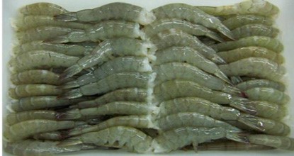 Xuất khẩu tôm chân trắng 2013 sẽ đạt kỷ lục trên 1,2 tỷ USD