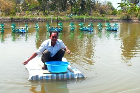 Thách thức nuôi tôm công nghiệp