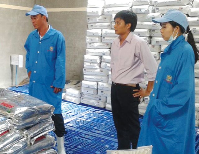 Bạc Liêu: Quản lý việc sử dụng hóa chất, kháng sinh trong nuôi tôm