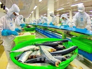 Ưu tiên giảm sản lượng để vực dậy sản xuất cá tra