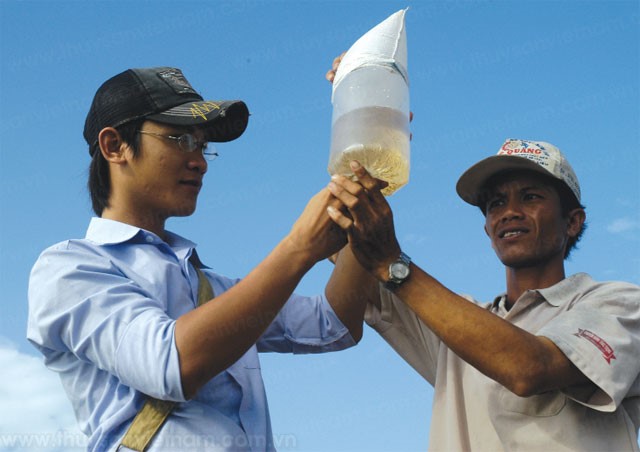 Nan giải quản lý chất lượng