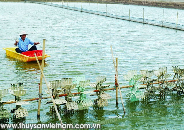 Gian nan giảm mức tăng “đầu vào” trong nuôi tôm