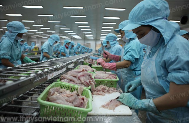 Hiệu quả xuất khẩu cá tra đang ở đâu?