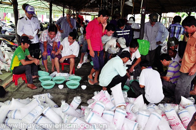 Bất cập tại các chợ tôm giống