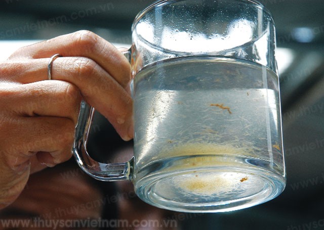 Bạc Liêu: Tăng cường kiểm tra chất lượng tôm giống