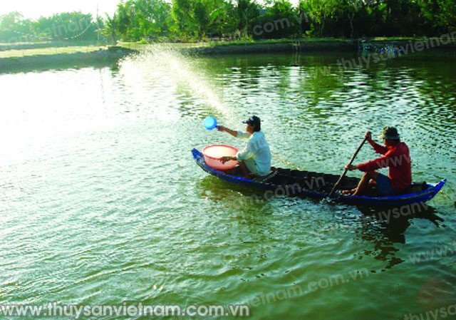 Sóc Trăng: Nhiều diện tích nuôi tôm bị thiệt hại