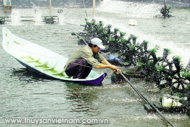Nâng cao hiệu quả giám sát dịch bệnh trên tôm