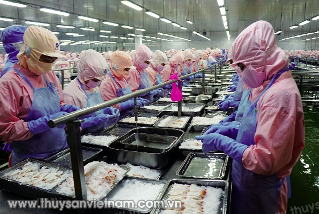 Nâng cao giá trị tôm Việt Nam