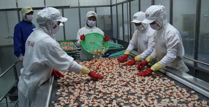 Xuất khẩu tôm lập kỷ lục mới trong năm 2013