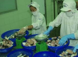 2014, AGF đặt kế hoạch lãi 120 tỷ đồng