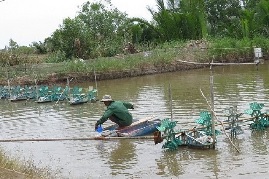 Tổng cục Thủy sản: Nguy cơ bùng phát dịch bệnh trên tôm nuôi