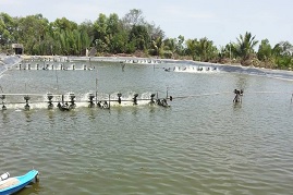 Trà Vinh: Đưa lĩnh vực thủy sản trở thành lĩnh vực tạo đột phá