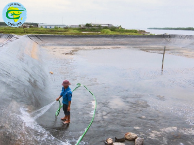 Kinh nghiệm của nông dân Thái Lan để quản lý WSSV trên tôm