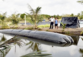 Ứng dụng biogas xử lý chất thải tôm nuôi siêu thâm canh