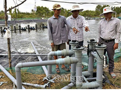 Xử lý nước nuôi tôm bằng tia cực tím ​ở Cà Mau