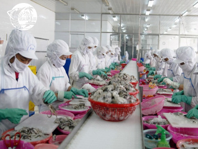 Xuất khẩu tôm Việt Nam sang thị trường Mỹ sẽ khôi phục