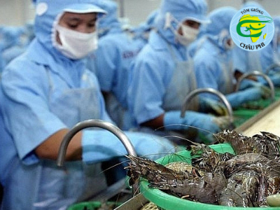 Anh: Nhu cầu nhập khẩu tôm từ Việt Nam vẫn ổn định