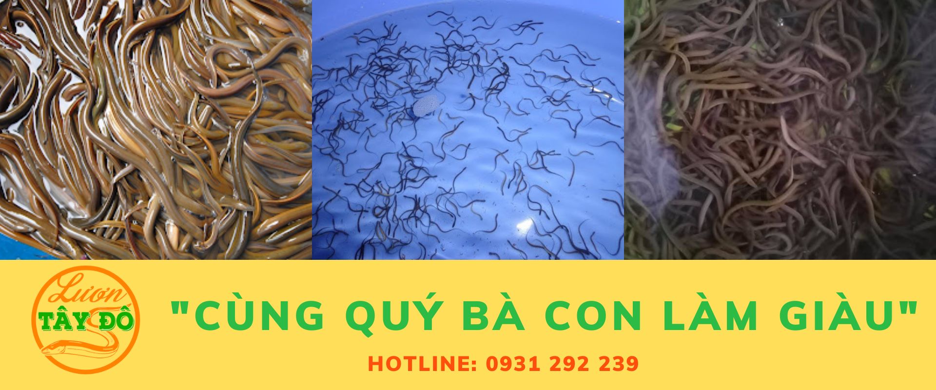 Công Ty Cổ Phần Thủy Sản Châu Phi