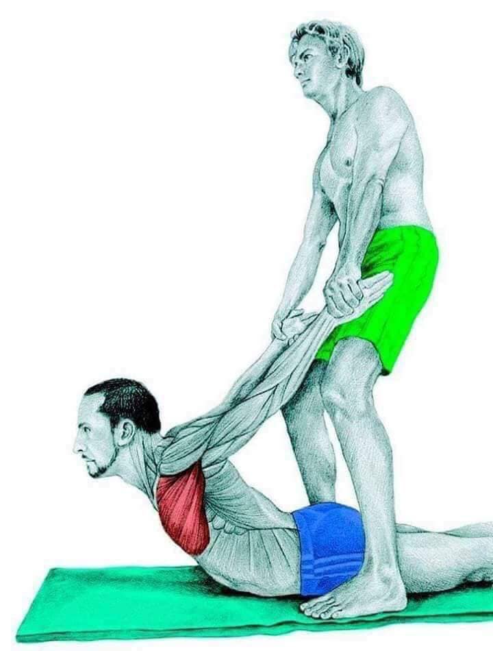 Hình ảnh bài viết