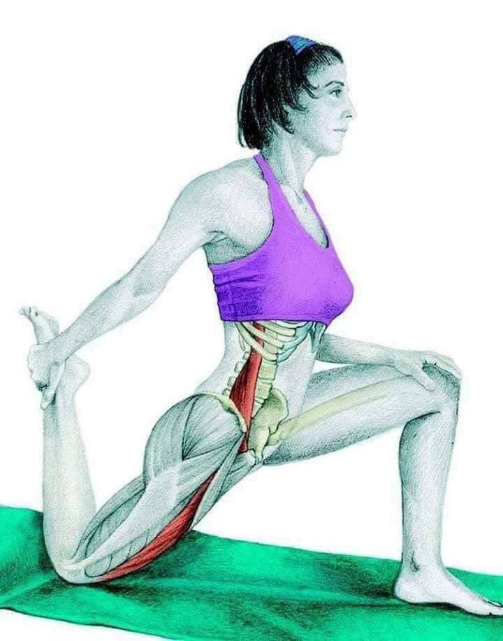 Hình ảnh bài viết