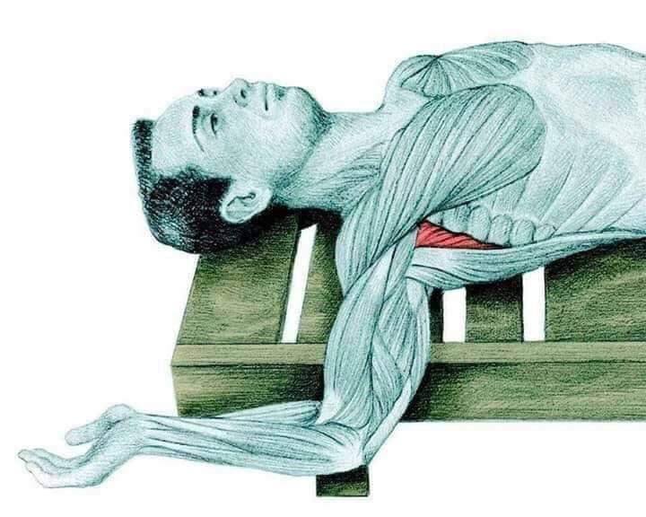 Hình ảnh bài viết