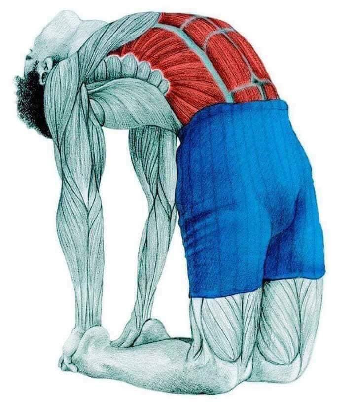 Hình ảnh bài viết