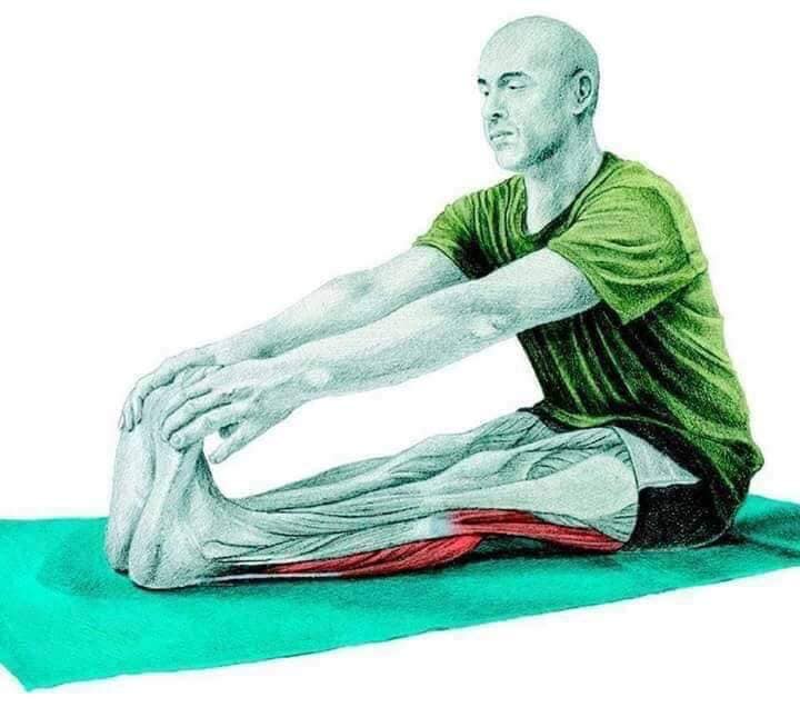 Hình ảnh bài viết