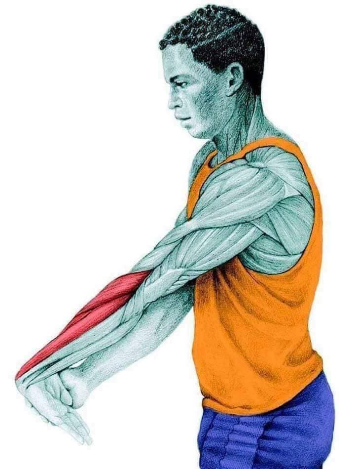 Hình ảnh bài viết