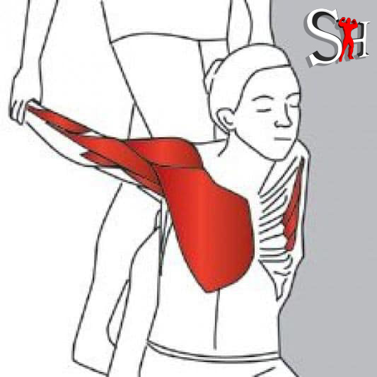 Hình ảnh bài viết