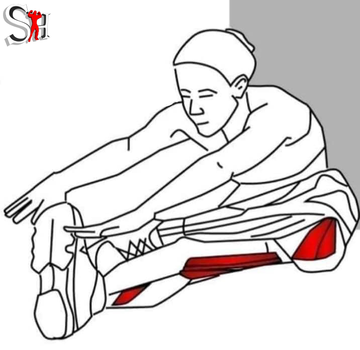Hình ảnh bài viết