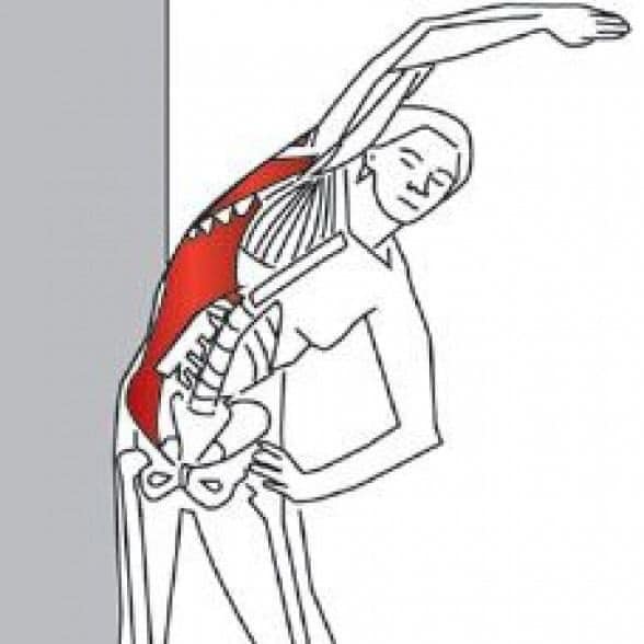 Hình ảnh bài viết
